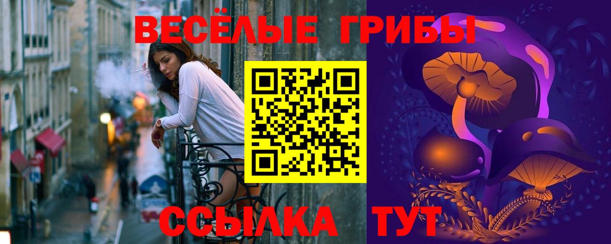Псилоцибиновые грибы Psilocybe Саратов